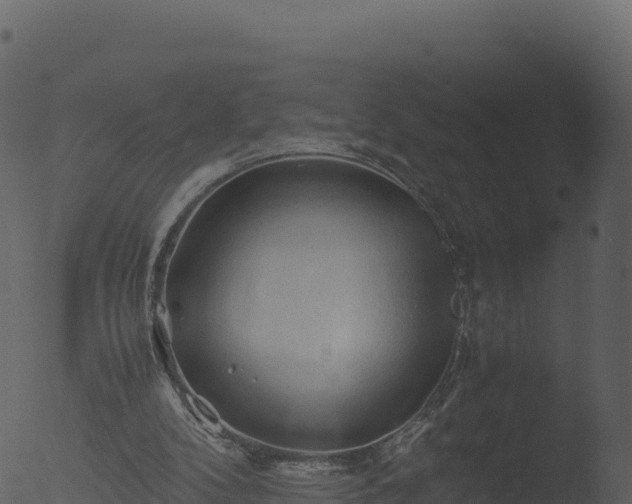 X0000053090104200507181729