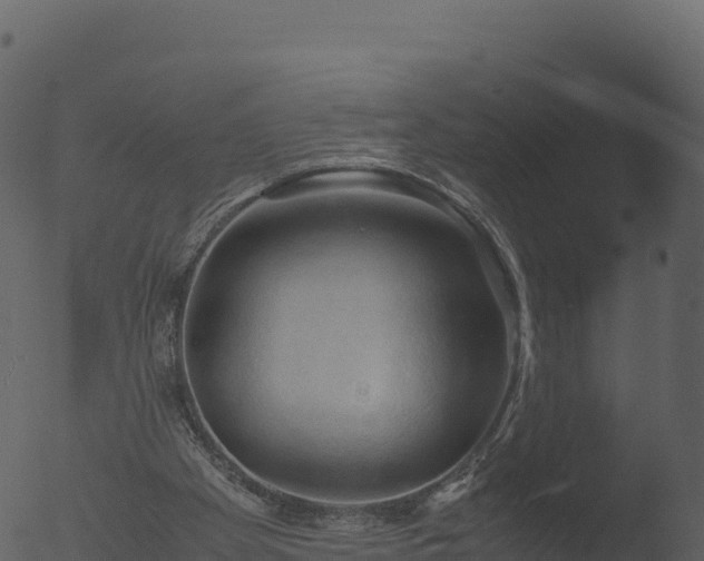 X0000053090105200507181729