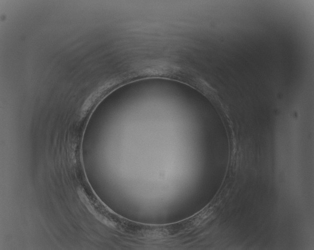 X0000053090106200507181729