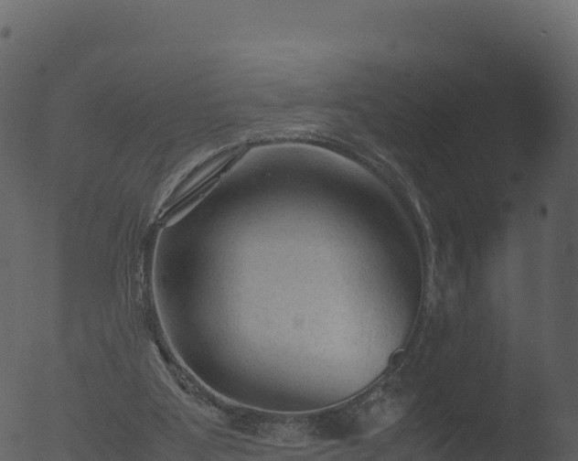 X0000053090107200507181729