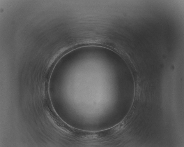 X0000053090108200507181729