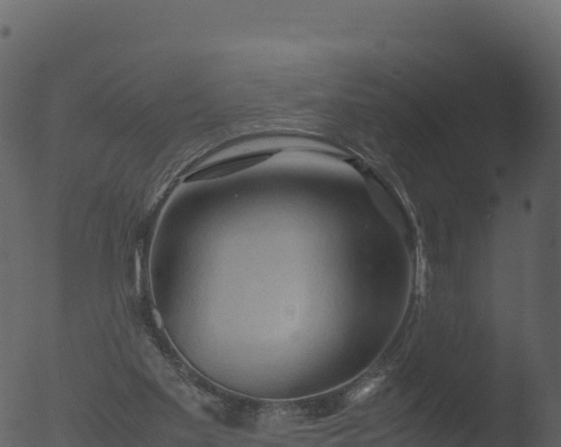 X0000053090109200507181729