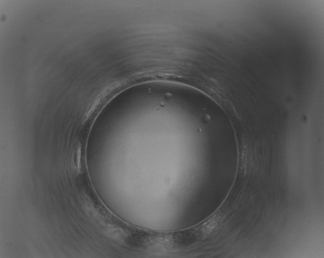 X0000053090110200507181729