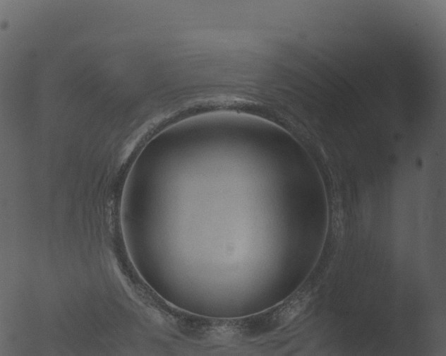 X0000053090111200507181729