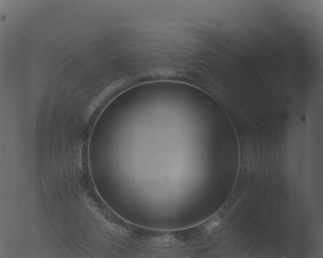 X0000053090112200507181729