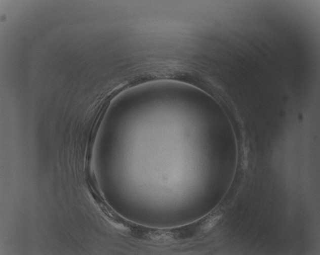 X0000053090113200507181729