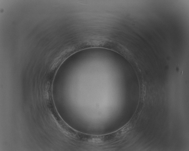 X0000053090114200507181729