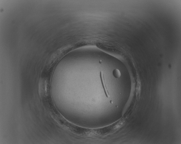 X0000053090115200507181729