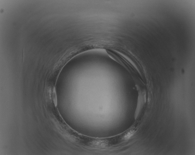 X0000053090117200507181729