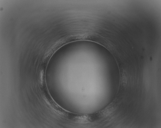 X0000053090118200507181729