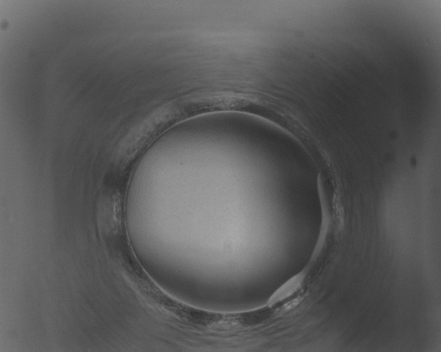 X0000053090119200507181729