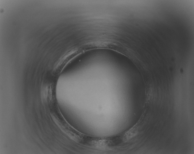 X0000053090120200507181729