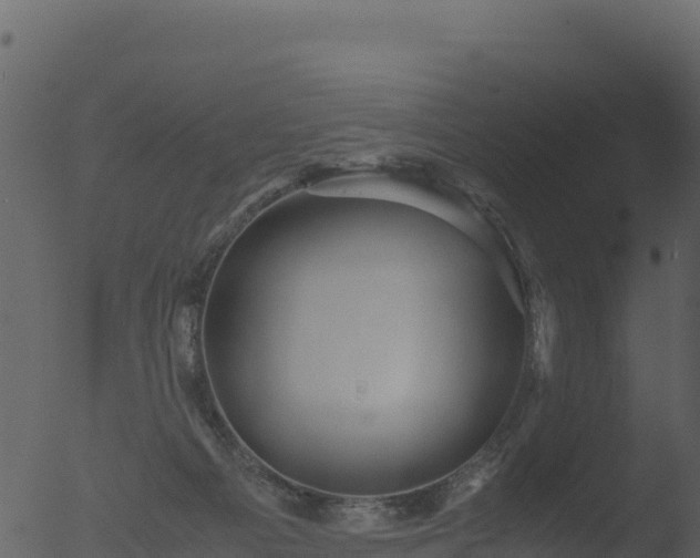 X0000053090121200507181729