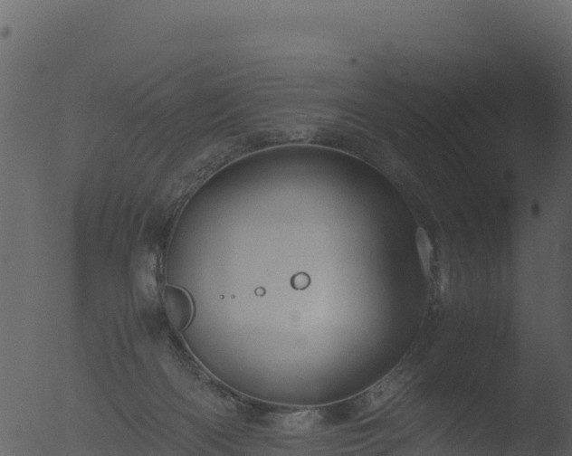 X0000053090122200507181729