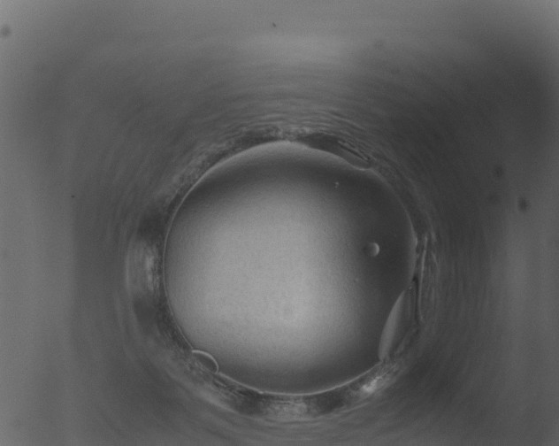 X0000053090123200507181729