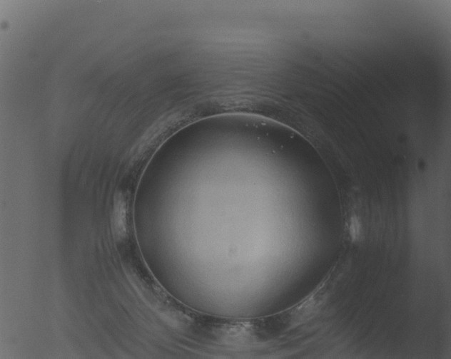 X0000053090124200507181729