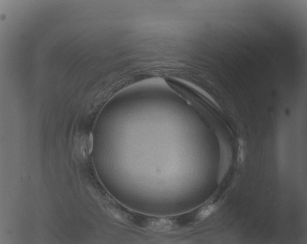 X0000053090125200507181729