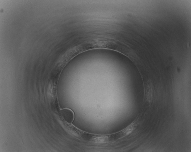 X0000053090126200507181729