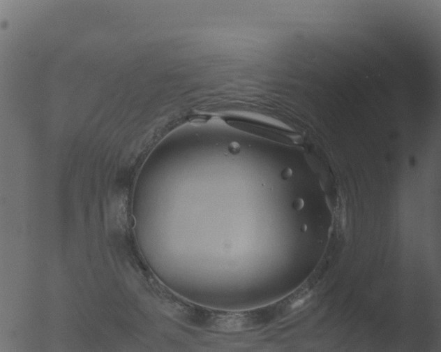 X0000053090127200507181729