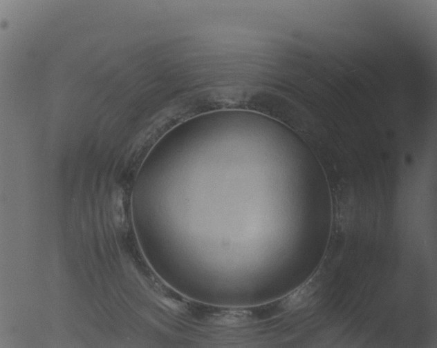 X0000053090128200507181729