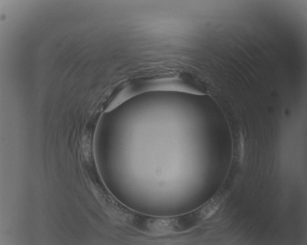 X0000053090129200507181729