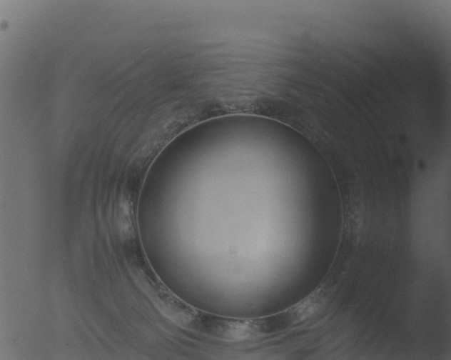 X0000053090130200507181729