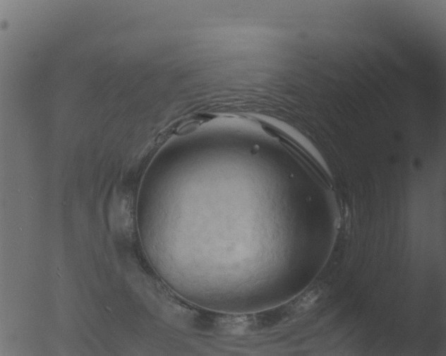 X0000053090131200507181729