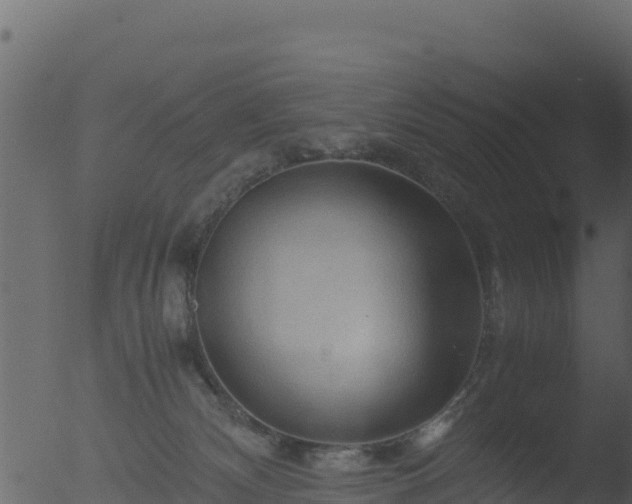 X0000053090132200507181729