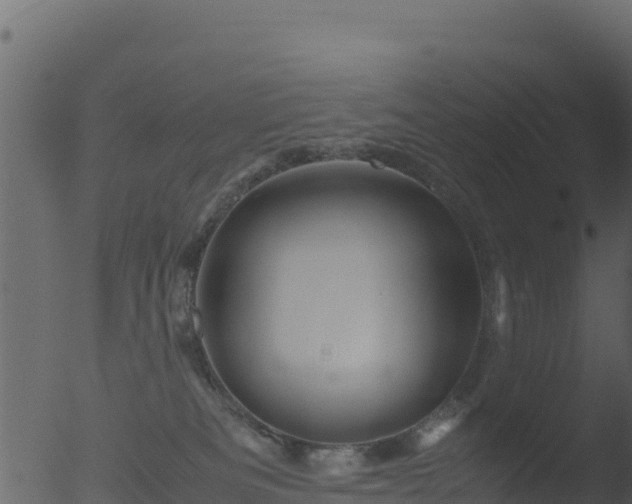 X0000053090133200507181729