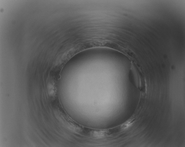 X0000053090134200507181728