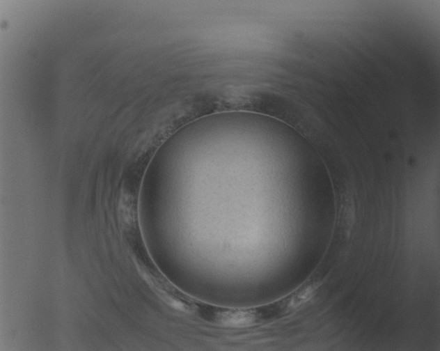 X0000053090135200507181728