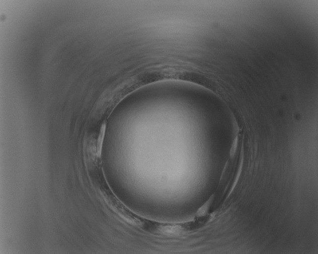 X0000053090137200507181728