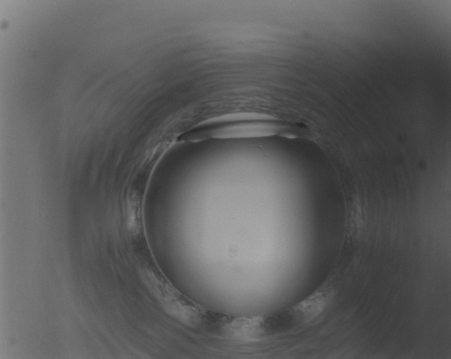 X0000053090138200507181728