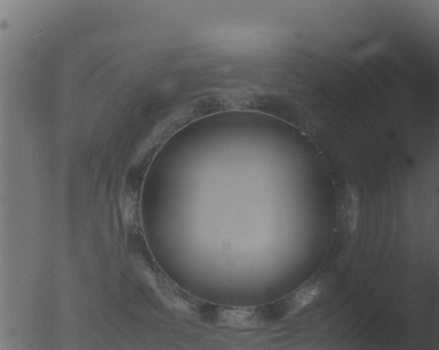 X0000053090139200507181728