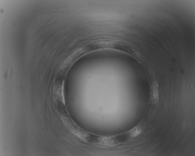 X0000053090141200507181728