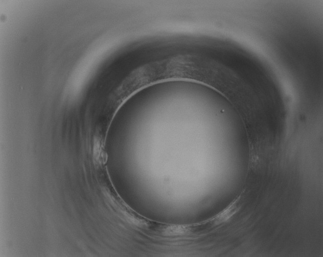 X0000053090142200507181728