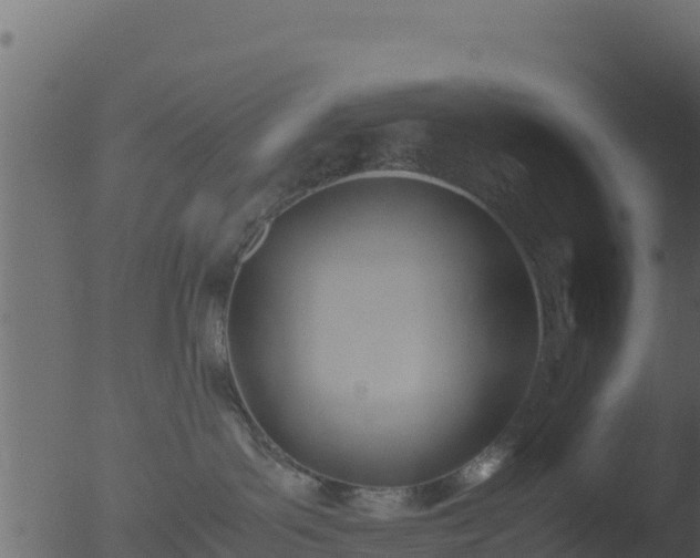 X0000053090143200507181728