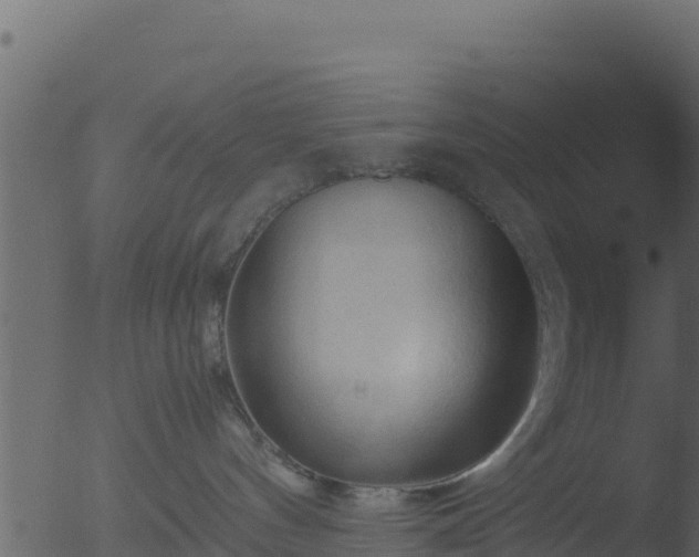 X0000053090144200507181728