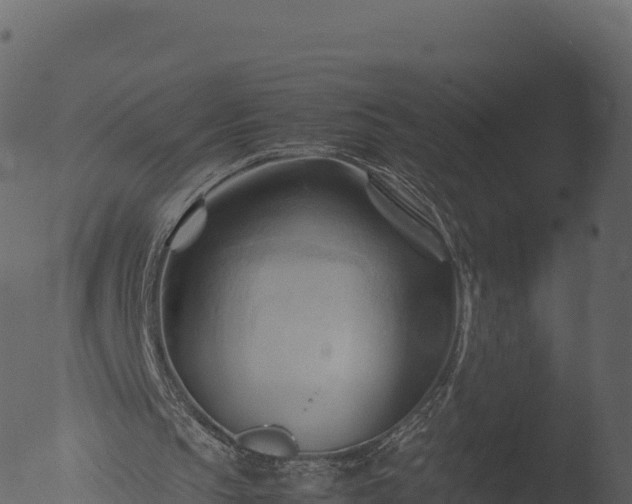 X0000053090145200507181728