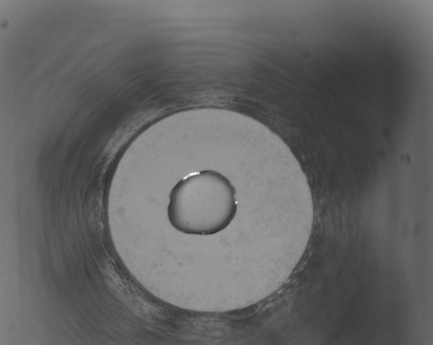 X0000053090146200507181728