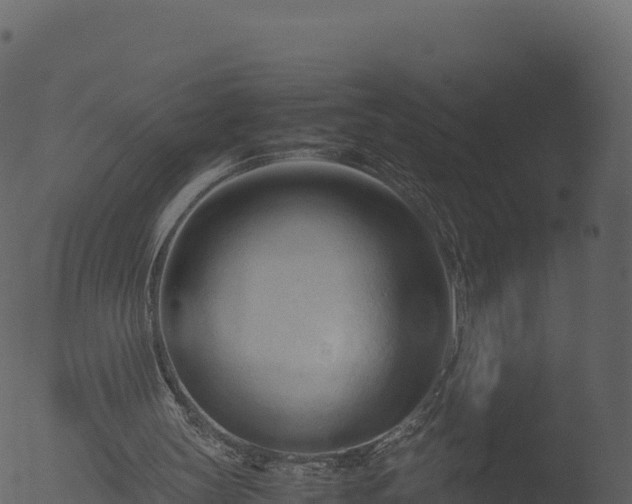 X0000053090147200507181728