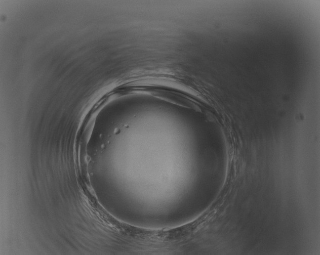 X0000053090148200507181728