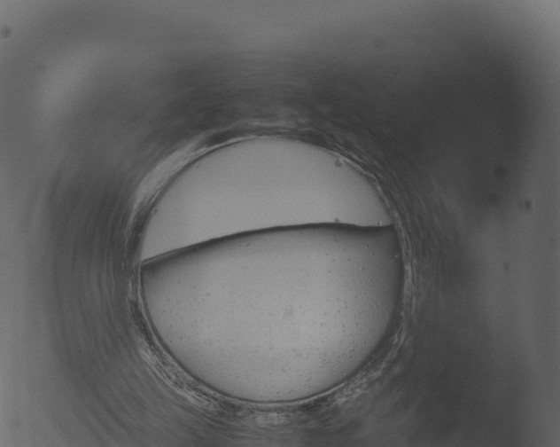 X0000053090149200507181728