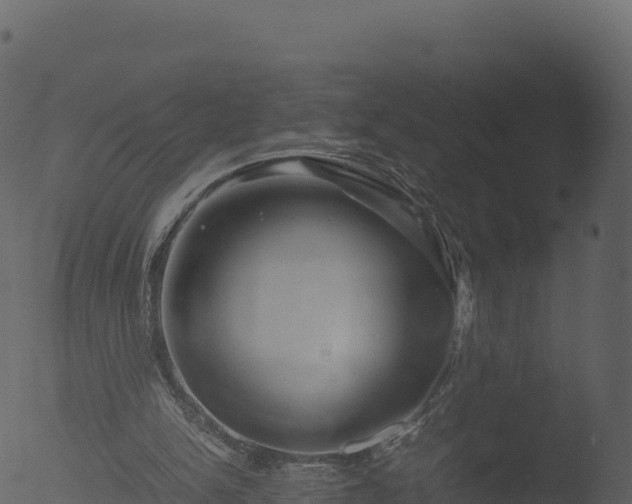 X0000053090150200507181728