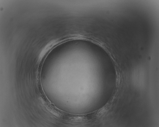 X0000053090151200507181728