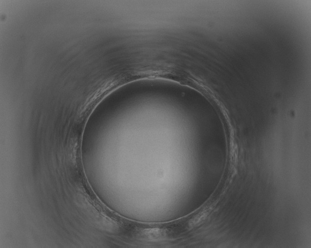 X0000053090153200507181728