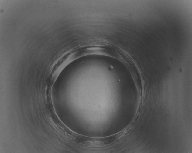 X0000053090154200507181728