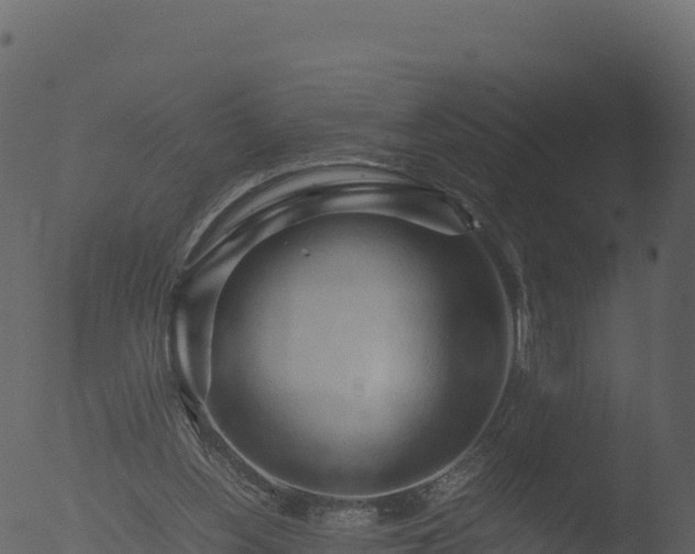 X0000053090156200507181728