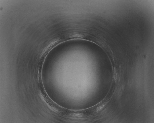 X0000053090157200507181728