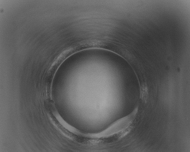 X0000053090158200507181728